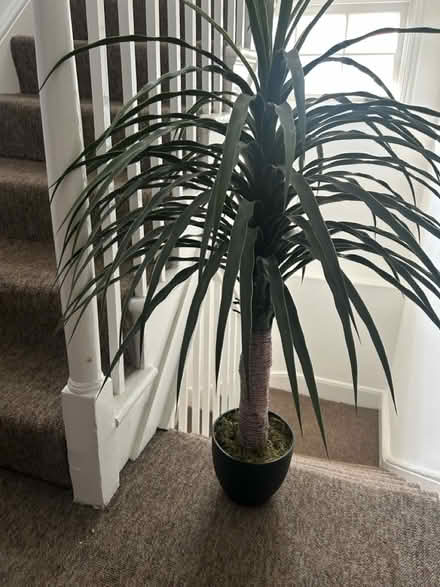 Photo of free Realistic fake plant with pot (SE1 Kent Road) #2