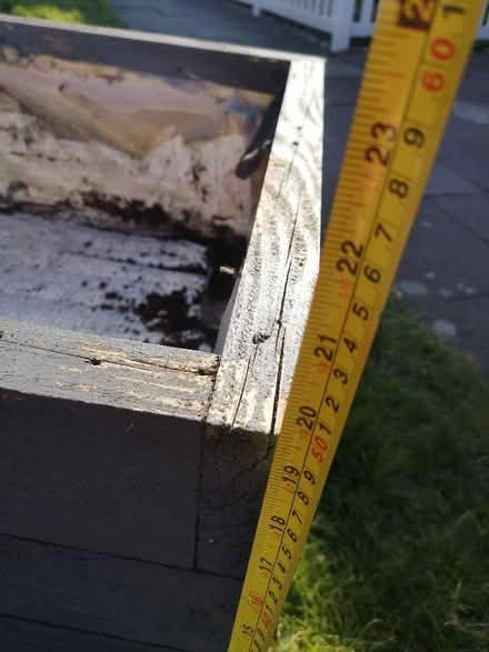 Photo of free Planter (Bournes Green SS2) #3