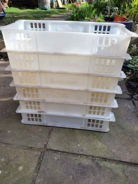 Photo of free plastic Bakery stacking trays (Thorpe Hamlet NR1) #2
