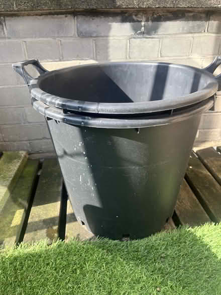 Photo of free Plastic plant pots (Poland Street, W1F) #4