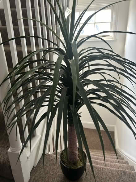 Photo of free Realistic fake plant with pot (SE1 Kent Road) #3