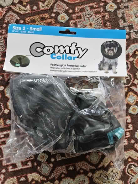 Photo of free Buster Collar size 2(small) (Clermiston) #1