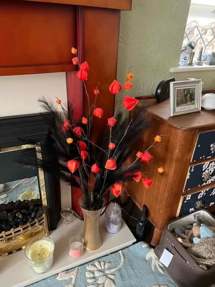 Photo of free Red-orange flowers with black feathers in vase (Bare LA4) #1