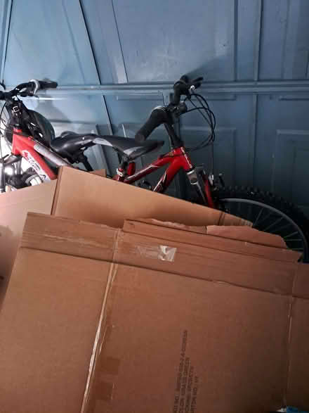 Photo of free Adult bicycle (Southcourt HP21) #1