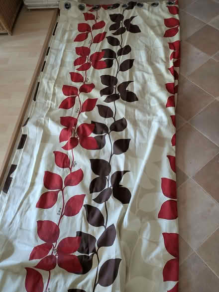 Photo of free Pair of long curtains (Bilton HG1) #2