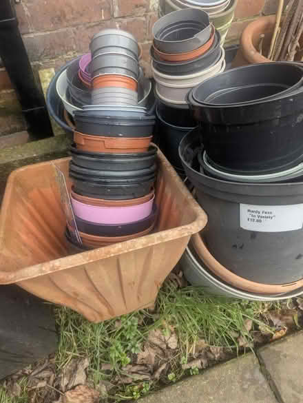 Photo of free Various Plastic Pots (ST6) #1