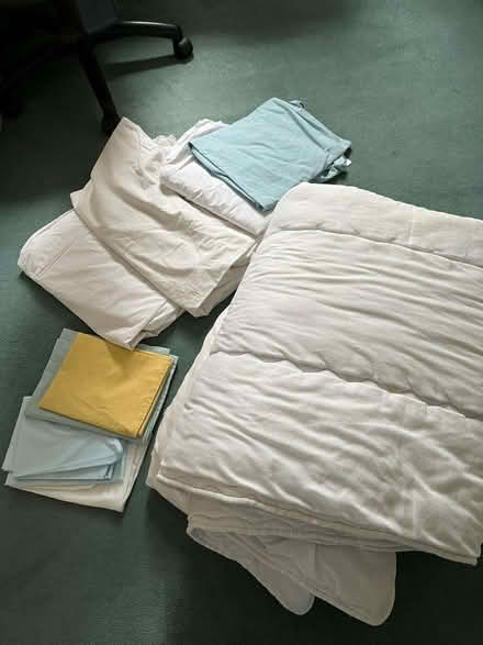 Photo of free Single bedding (Lewes BN7) #1