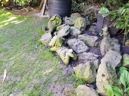 Photo of free Rockery stones (West Cheshunt) #2