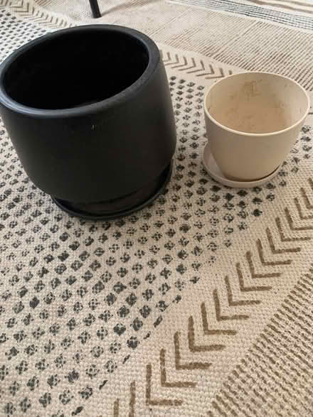 Photo of free Plant pots (Tenney) #1