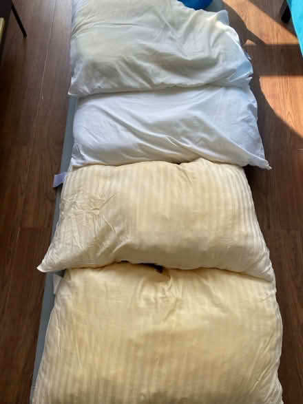 Photo of free 4 pillows (Clapton E5) #1