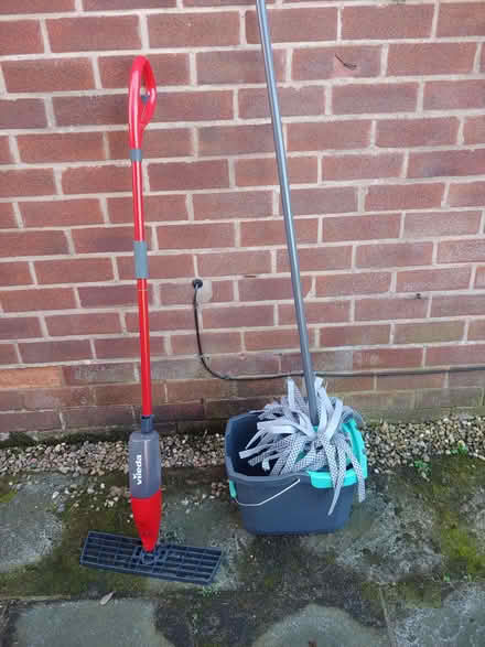 Photo of free Mops (Grappenhall WA4) #1