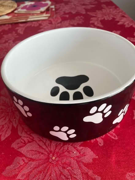 Photo of free Two dogs bowls (Ipswich IP3) #2