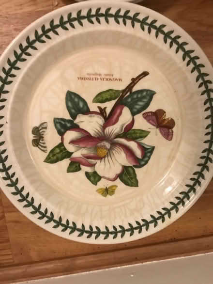 Photo of free Plates and bowls (M20 Didsbury) #1