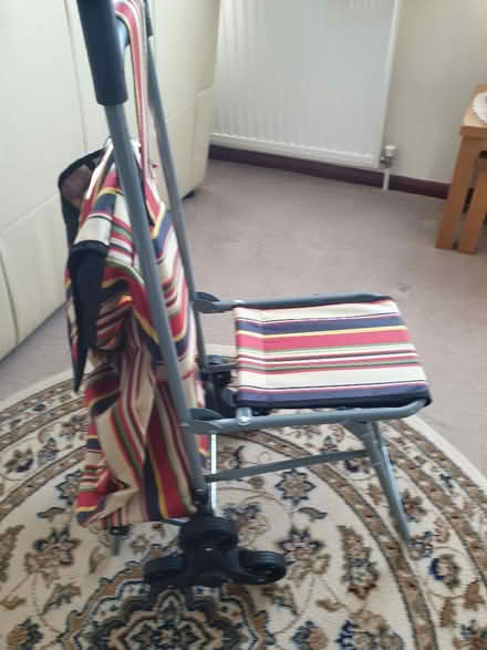 Photo of free Shopping trolley with seat (Eaton Bray LU6) #2