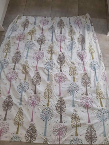 Photo of free Curtains (Bathford) #1