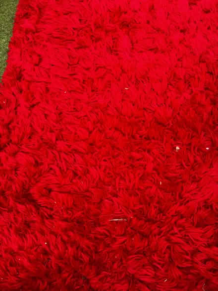Photo of free Large area rug (South Croydon CR2) #2