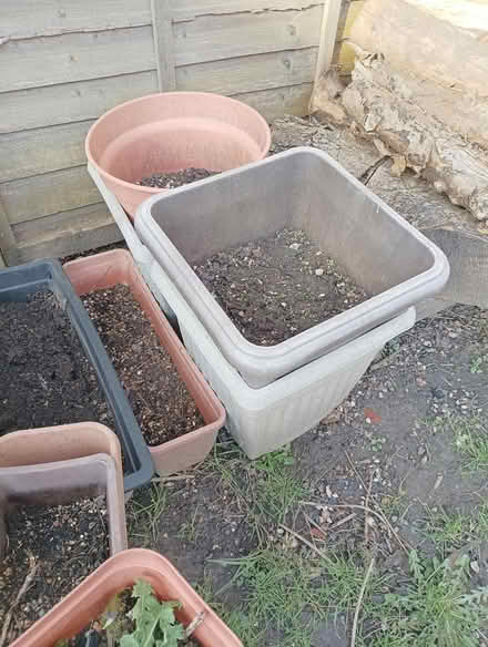 Photo of free Selection of large planters & soil (RG2 south Reading) #3