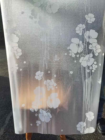 Photo of free Obscure window film (Low Hesket CA4) #1