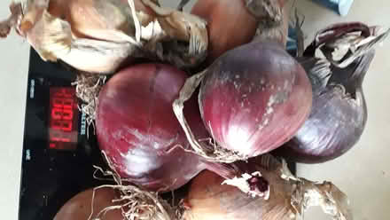 Photo of free mixture or red and white organic onions 1kg x 3 (Henbury BS10) #1