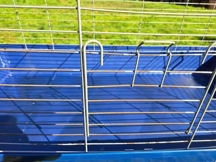 Photo of free Guinea pig cage x 2 (Burley LS4) #1