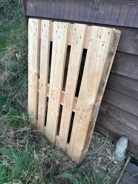 Photo of free Wooden pallet (Beckley OX3) #1