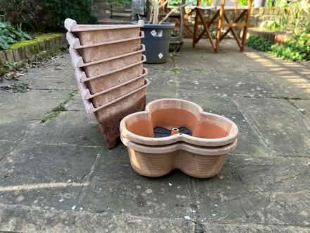 Photo of free Plant pots (Tollington N4) #2