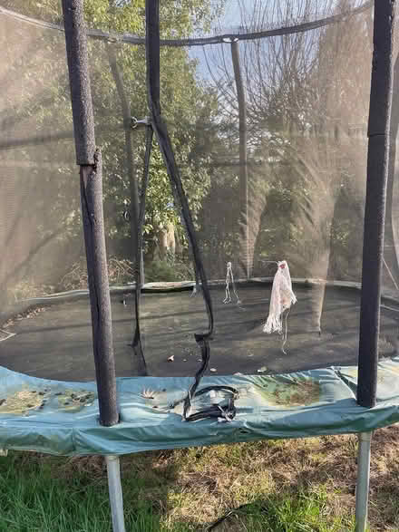 Photo of free Trampoline (AL1) #3