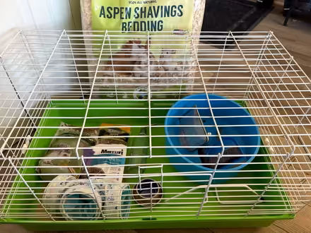 Photo of free Small animal cage and accessories (McLean, VA) #1