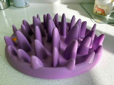 Photo of free Cat puzzle feeders (Hollins BL9) #4