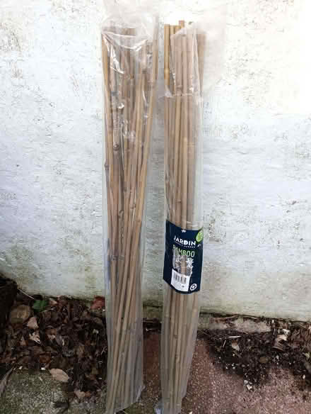 Photo of free Bamboo garden canes (Bolton le Sands LA5) #1