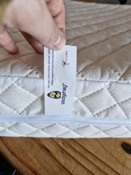 Photo of free Wedgehog pillow (Eastbourne) #3