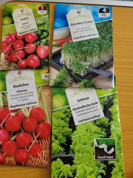 Photo of free Salad veg seeds. Still in date (Knaresborough HG5) #1