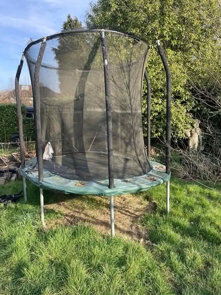 Photo of free Trampoline (AL1) #1
