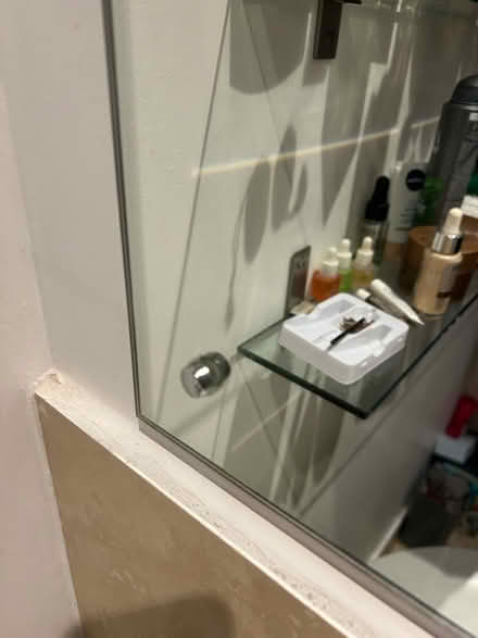 Photo of free Bathroom Mirror (SW4) #3