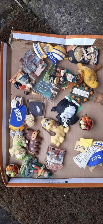 Photo of free Fridge magnets (Livingston EH54) #2