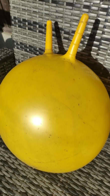 Photo of free Space hopper (Chislehurst BR7) #1