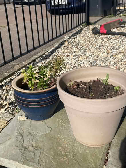 Photo of free 6 x Ceramic plant pots (Kempston) #3
