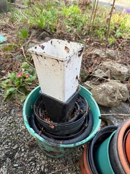 Photo of free Assorted plant pots (Burneside LA9) #2