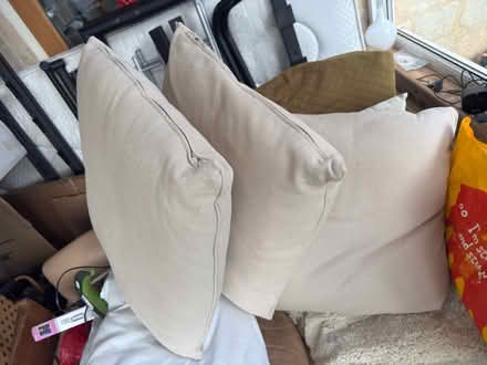 Photo of free Large sofa cushions (Stroud) #3