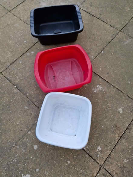 Photo of free Bowls (Great Baddow CM2) #1