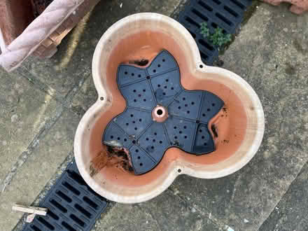 Photo of free Plant pots (Tollington N4) #3