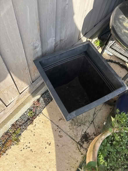 Photo of free Plant pots (EN7) #4