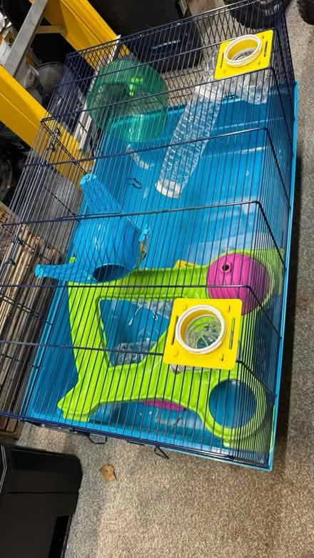 Photo of free Large Hamster Home (TA1) #1