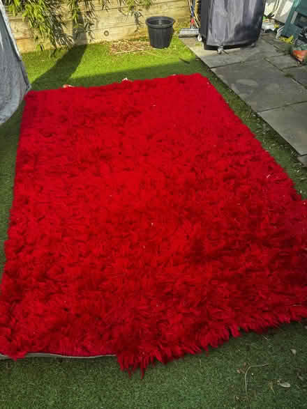Photo of free Large area rug (South Croydon CR2) #1