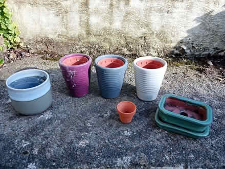 Photo of free Bundle of small plant pots (Bolton le Sands LA5) #1