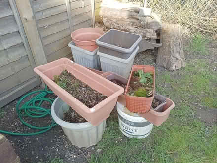 Photo of free Selection of large planters & soil (RG2 south Reading) #1