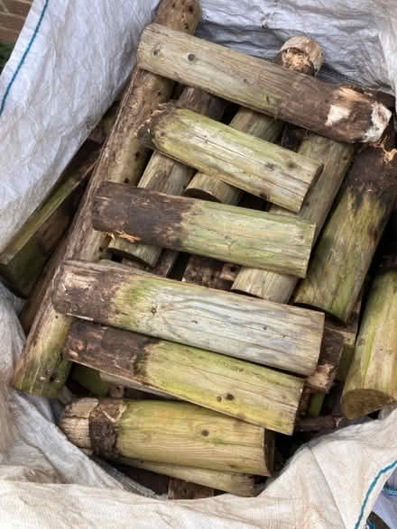 Photo of free Wood (south stoke RG8) #3