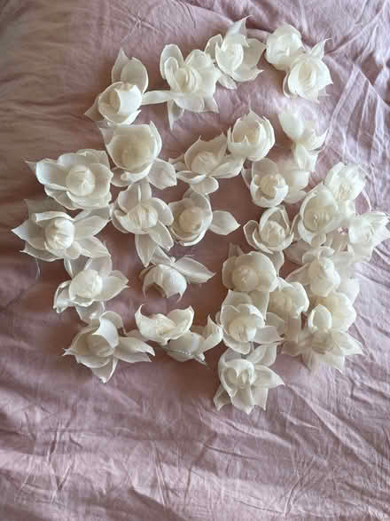 Photo of free Beautiful paper-like flower garland (home decoration) (Seven Dials BN1) #2