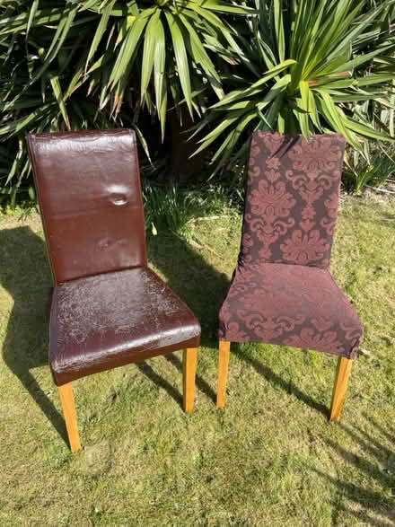 Photo of free Dinning room chairs (Bn2 8el) #1