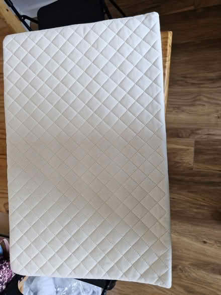 Photo of free Wedgehog pillow (Eastbourne) #1
